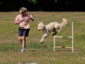 Enlarge photo 6