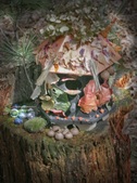 Enlarge photo 12