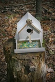 Enlarge photo 13