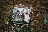 Enlarge photo 15