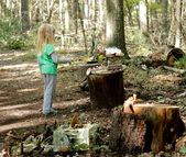 Enlarge photo 13