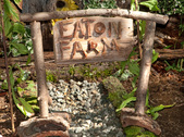 Down On the Fairy Farm
