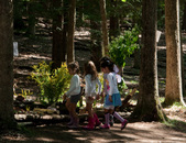 Enlarge photo 9