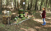Junior Artist Village