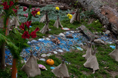 Natures Open House 2018