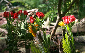 Enlarge photo 3