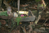 Enlarge photo 2