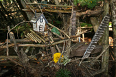 Enlarge photo 8