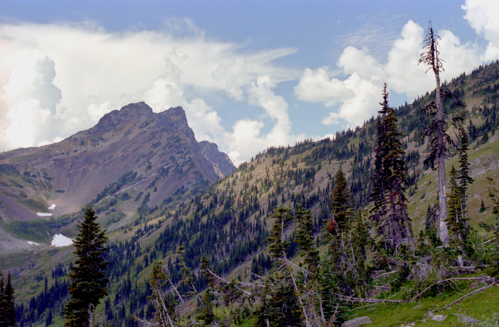 View Original Image