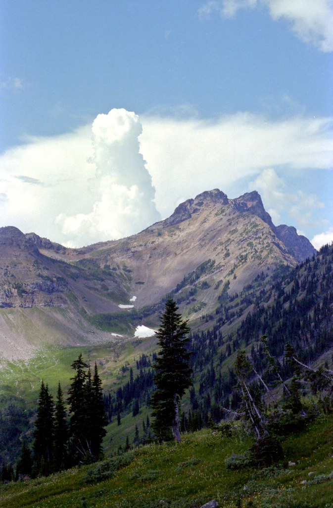 View Original Image