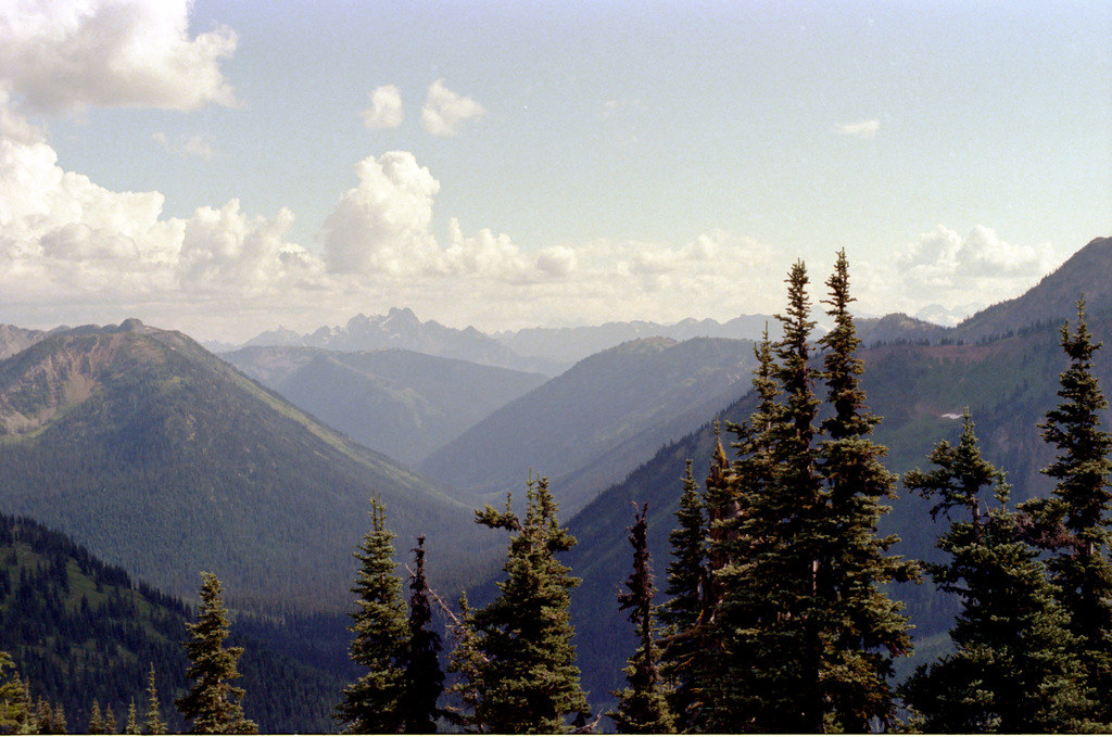 View Original Image