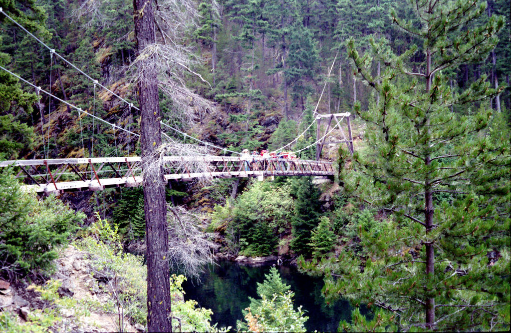 View Original Image
