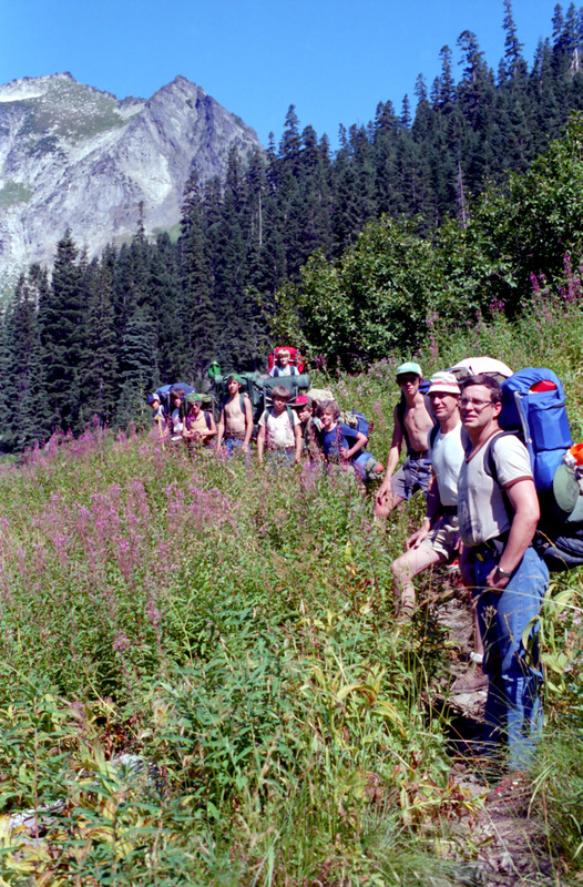 View Original Image