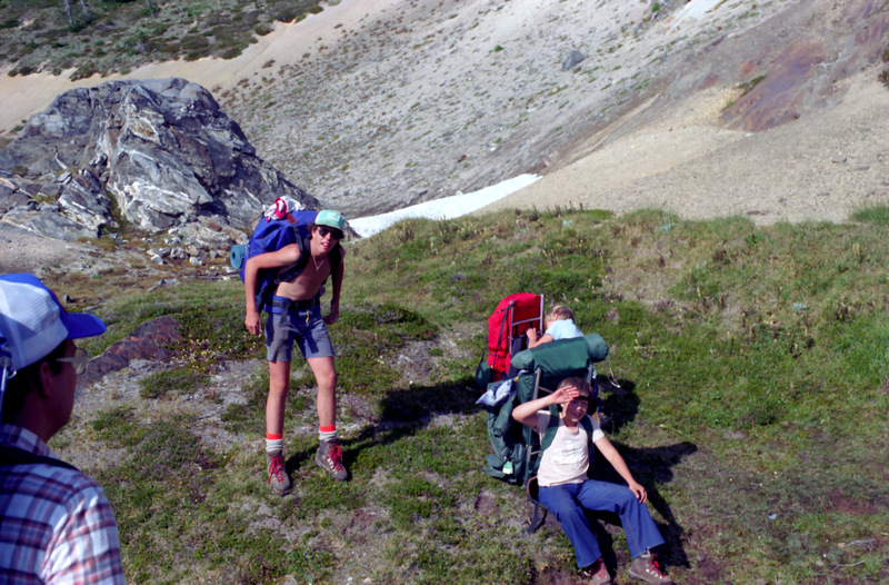 View Original Image