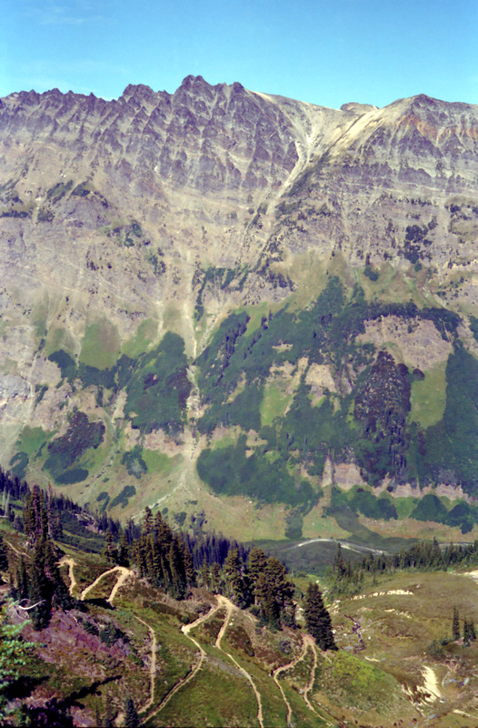 View Original Image