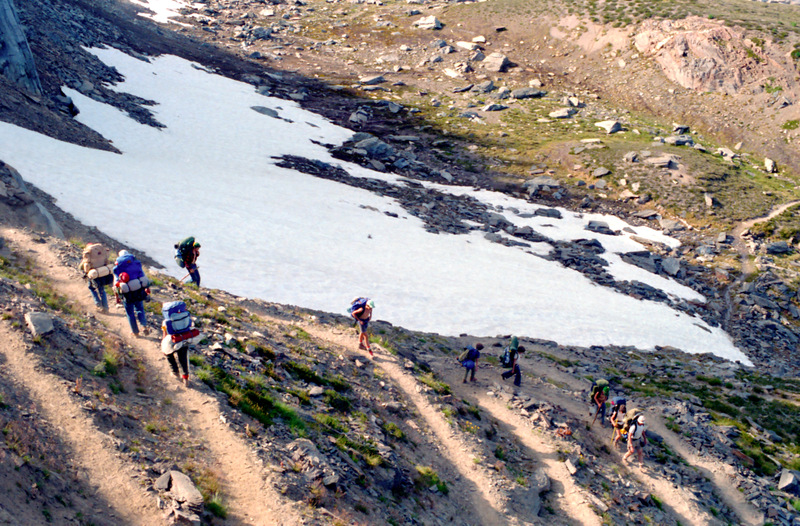 View Original Image