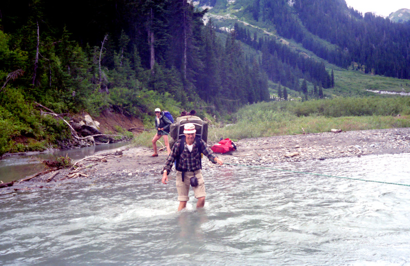 View Original Image