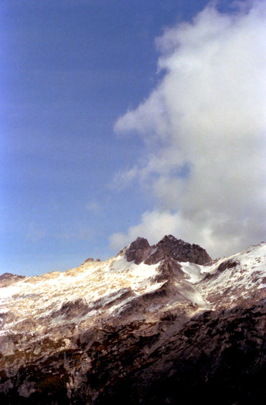 View Original Image