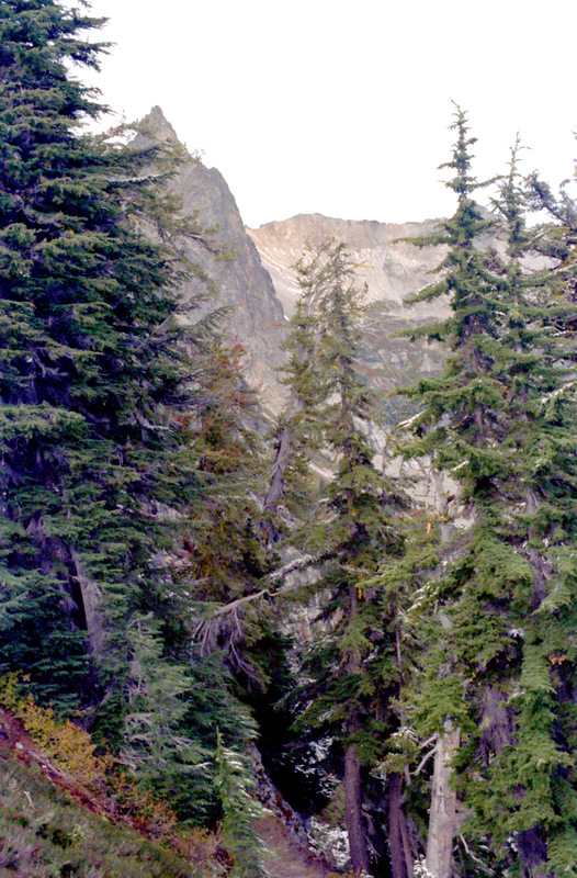 View Original Image