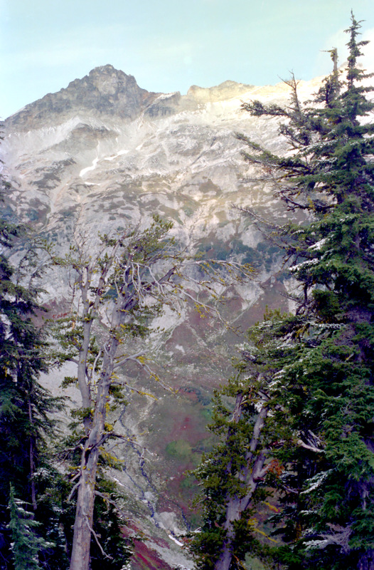 View Original Image