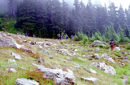 Enlarge photo 21