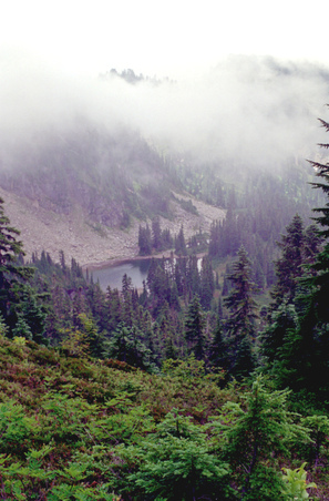 Enlarge photo 22