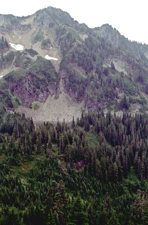 Enlarge photo 25