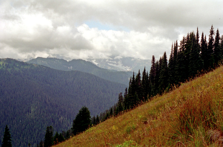 Enlarge photo 26