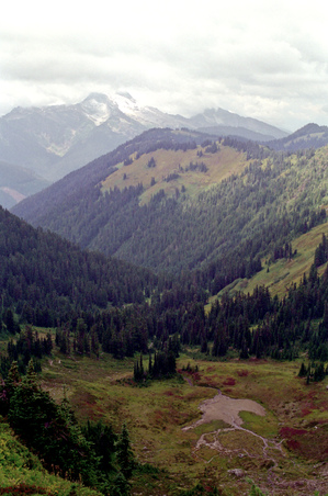 Enlarge photo 28