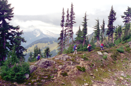 Enlarge photo 35