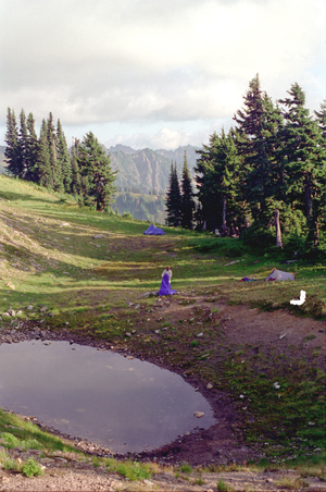 Enlarge photo 37