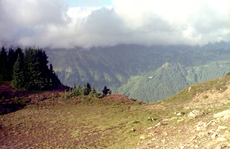 Enlarge photo 38