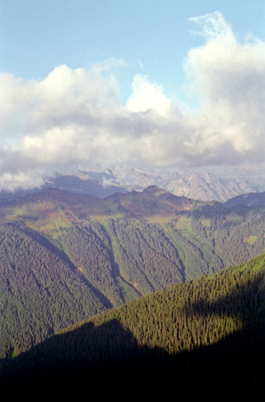 Enlarge photo 42