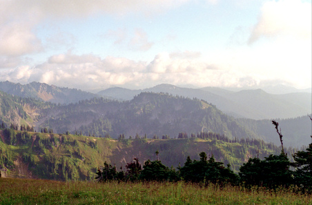 Enlarge photo 43