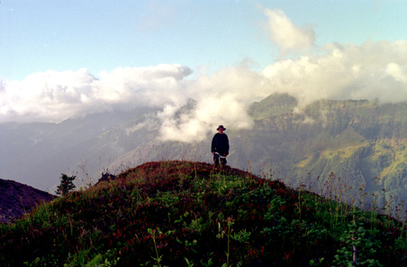 Enlarge photo 44