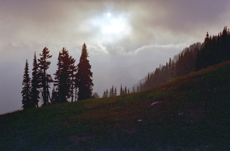 Enlarge photo 51