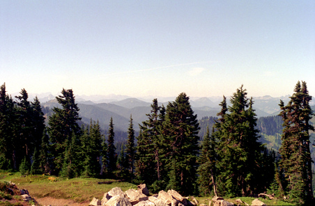 Enlarge photo 55