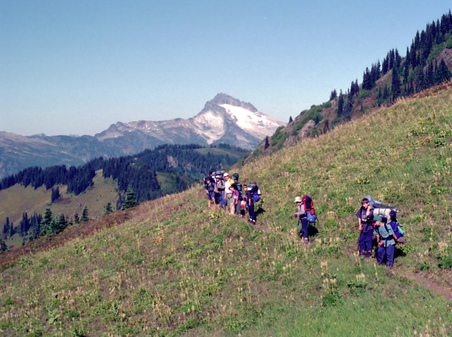 Enlarge photo 59