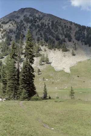 Enlarge photo 37
