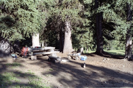 Enlarge photo 33