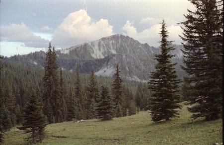 Enlarge photo 34
