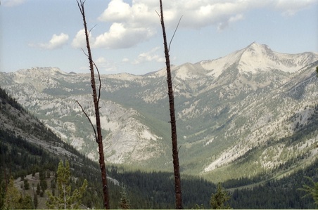 Enlarge photo 43