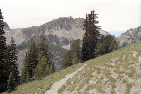 Enlarge photo 48
