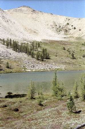 Enlarge photo 54