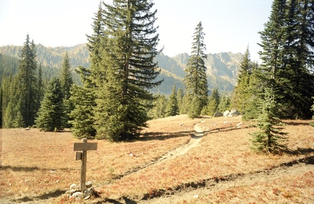 Enlarge photo 39