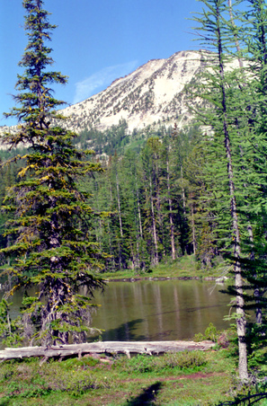 Enlarge photo 4