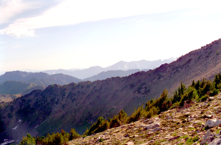 Enlarge photo 13