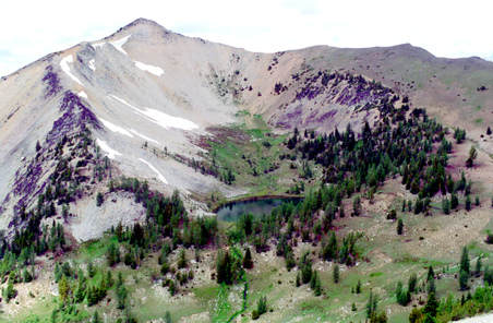 Enlarge photo 28