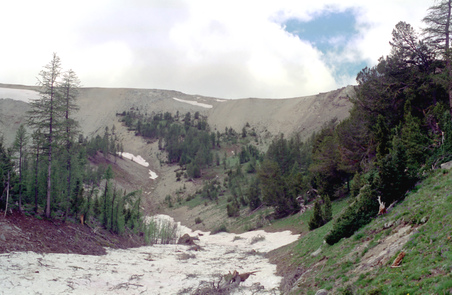 Enlarge photo 41
