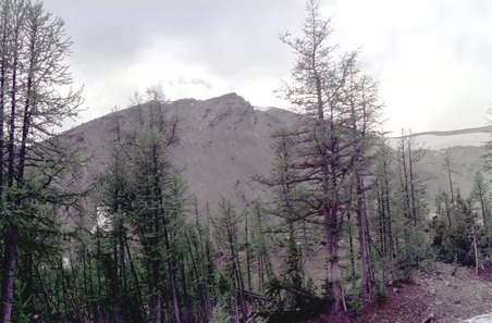 Enlarge photo 42